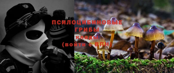 эйфоретик Михайловка